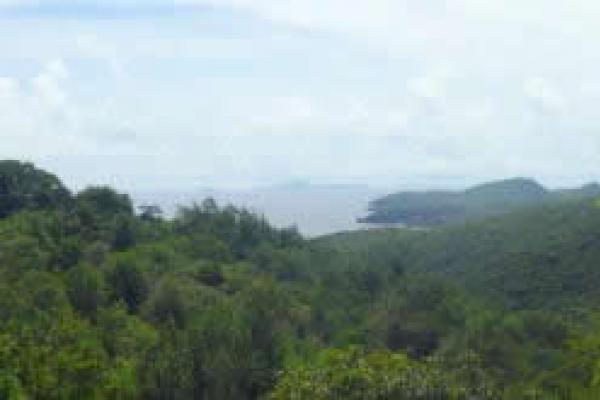 Rocky Bay