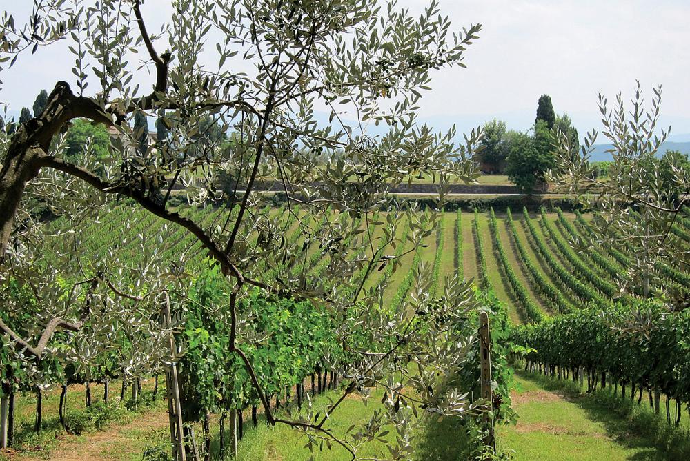 Mangiacane Estate Tuscany - Villa Machiavelli Mangiacane Estate Tuscany - Villa Machiavelli