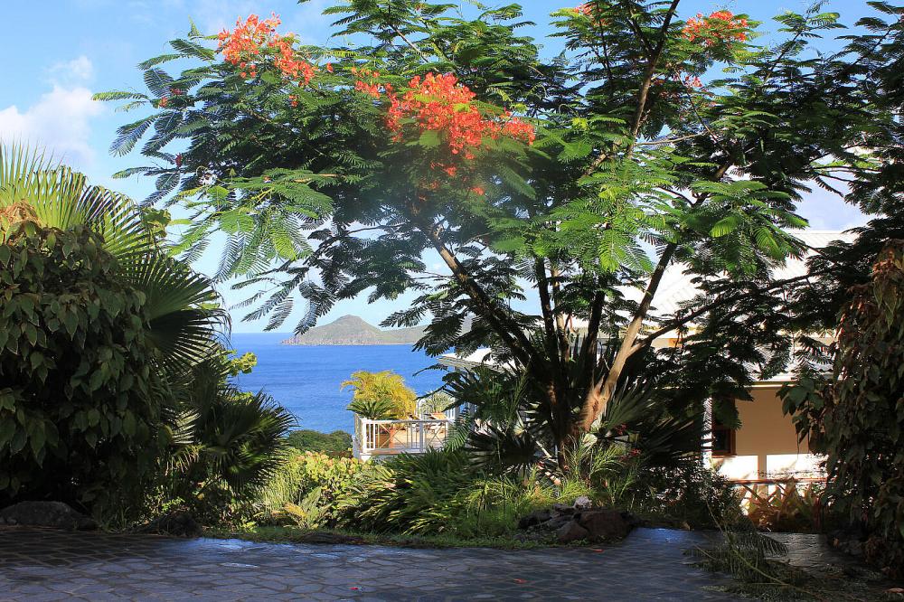 Villa Coccoloba Villa Coccoloba