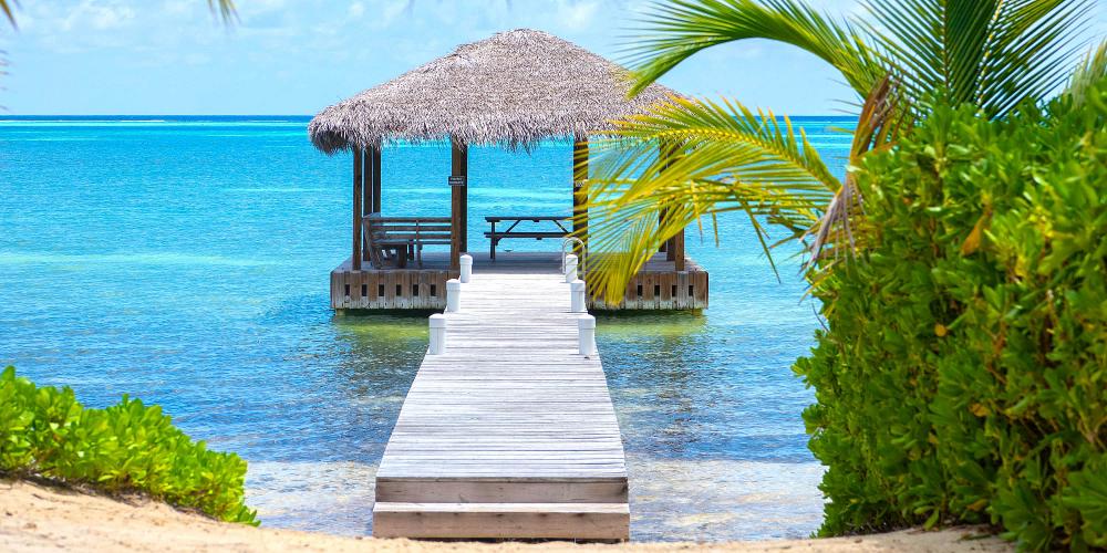 White Cottage White Cottage