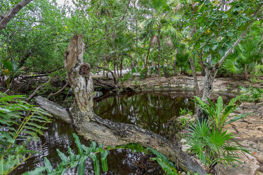 Xpu Ha, Mexico - 4 Bedroom Casa Belatan Xpu Ha, Mexico - 4 Bedroom Casa Belatan