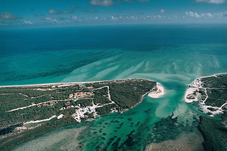 Parrot Cay and COMO Shambhala Retreat Parrot Cay and COMO Shambhala Retreat