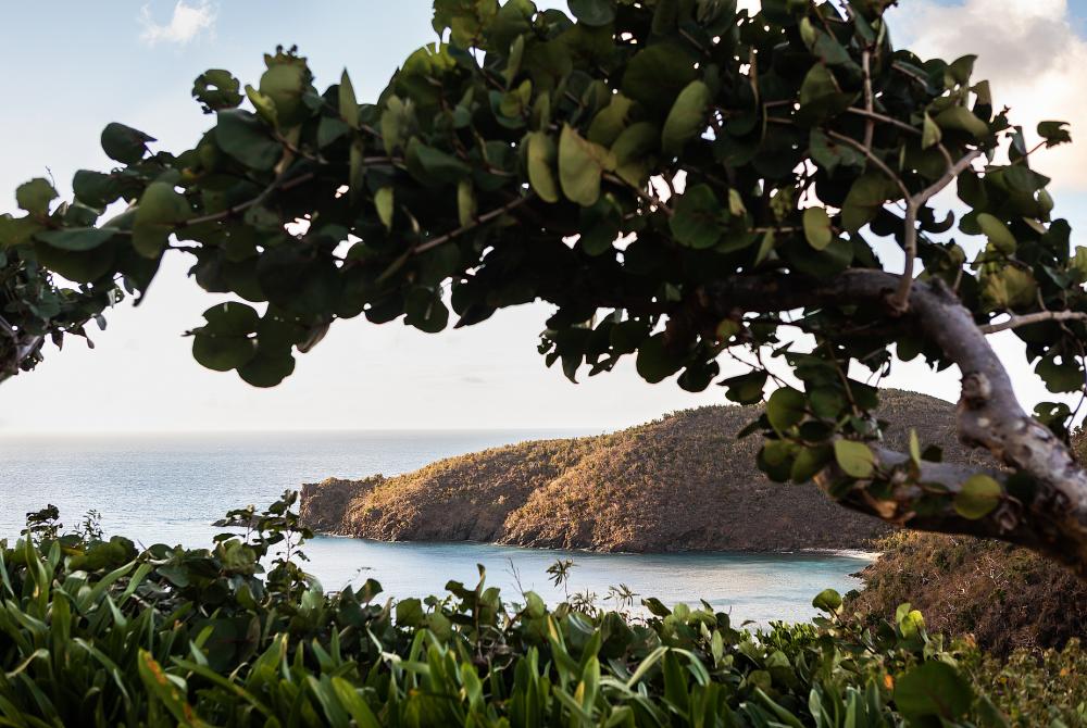 Guana Island - British Virgin Islands Guana Island - British Virgin Islands