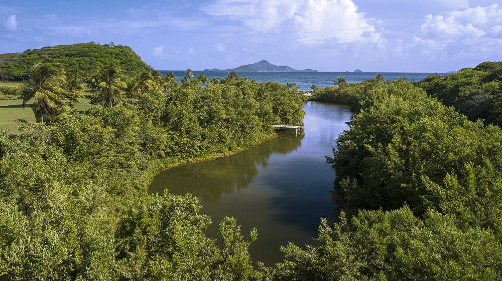 Grenadines, Palm Island Resort Grenadines, Palm Island Resort