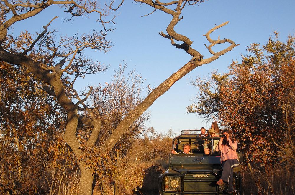 Limpopo, South Africa - 4 Bedroom Lodge Jembisa Limpopo, South Africa - 4 Bedroom Lodge Jembisa