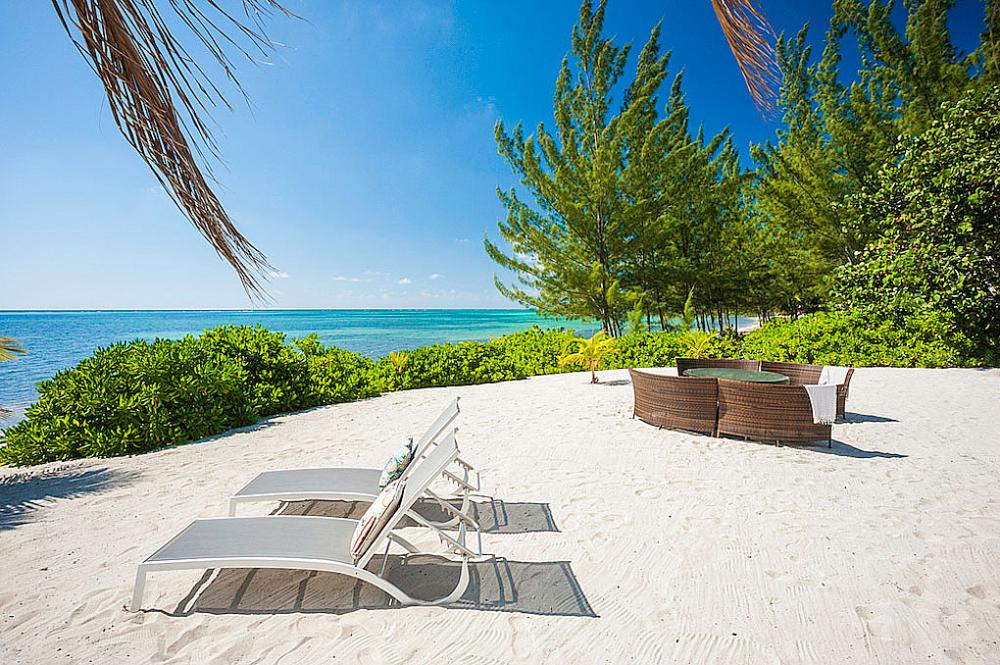 White Cottage White Cottage