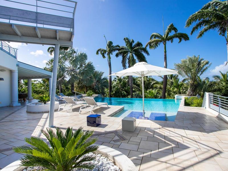 Les Palmiers Bleus , Terres Basses 