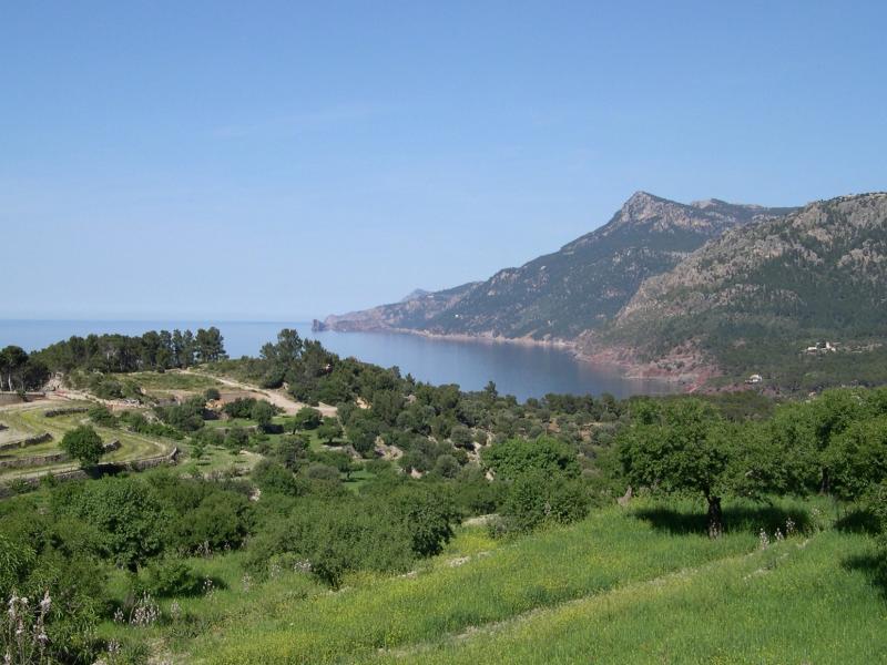 Villa Sa Punta , Son Bunyola 