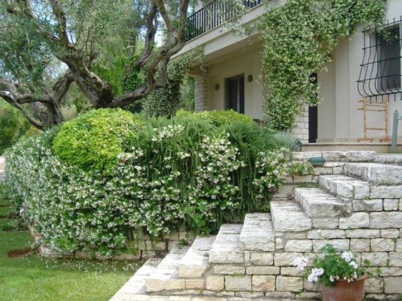 Kanoni Estate , Corfu 