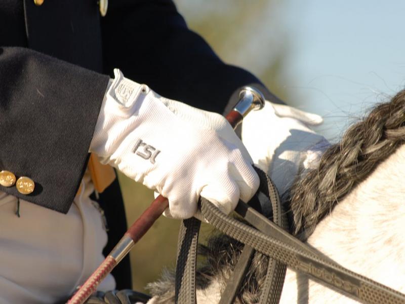 Espanola Estate , Sitges 