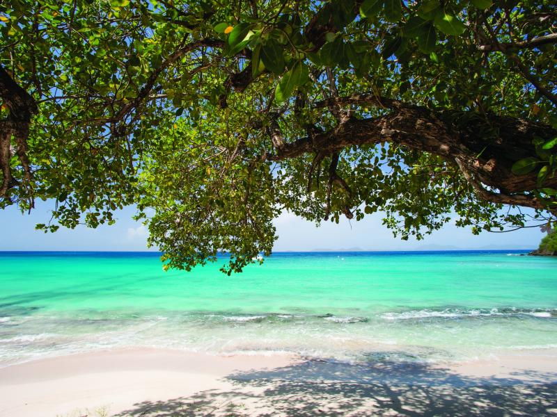 Cotton House , Endeavour Bay 