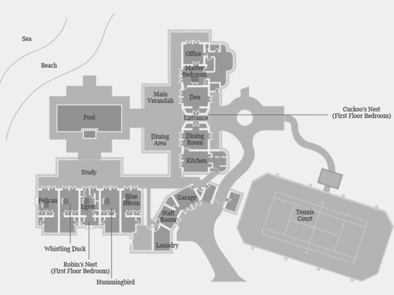 Bananaquit - Jumby Bay , Jumby Bay 