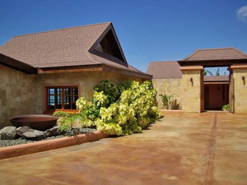 Tree Frog , Prickly Bay 