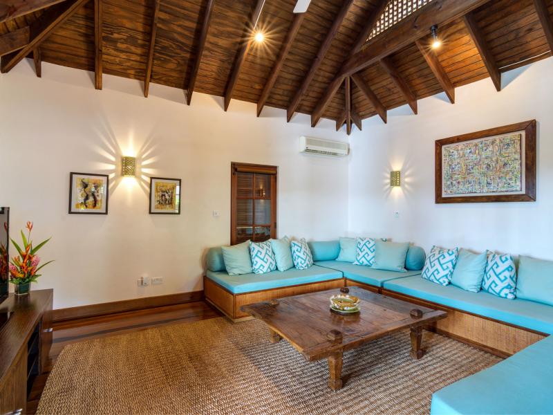 Tree Frog , Prickly Bay 