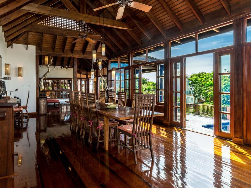 Tree Frog , Prickly Bay 