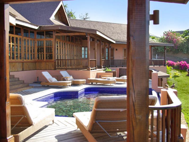 Tree Frog , Prickly Bay 