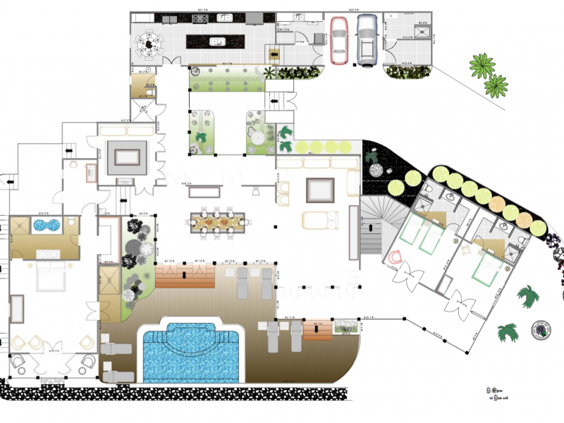 Tree Frog , Prickly Bay 