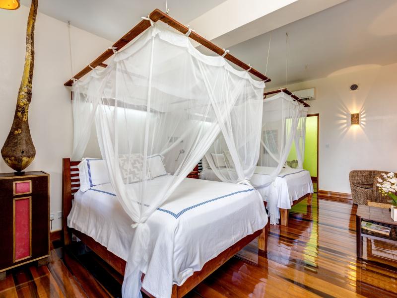 Tree Frog , Prickly Bay 