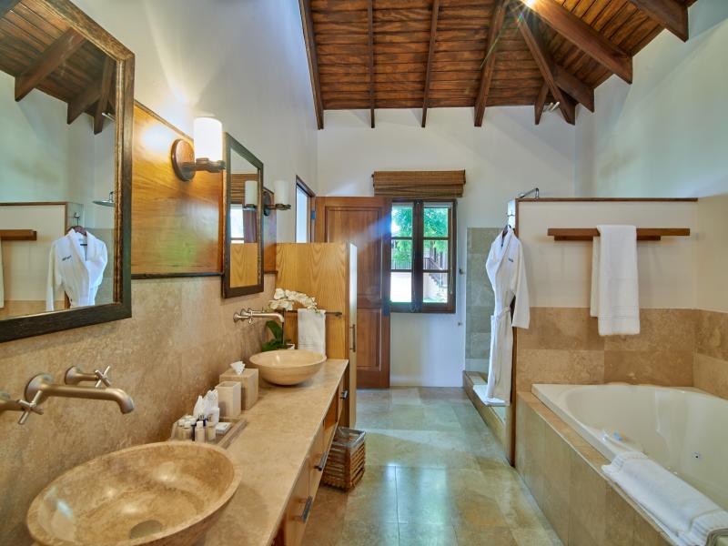 Tree Frog , Prickly Bay 