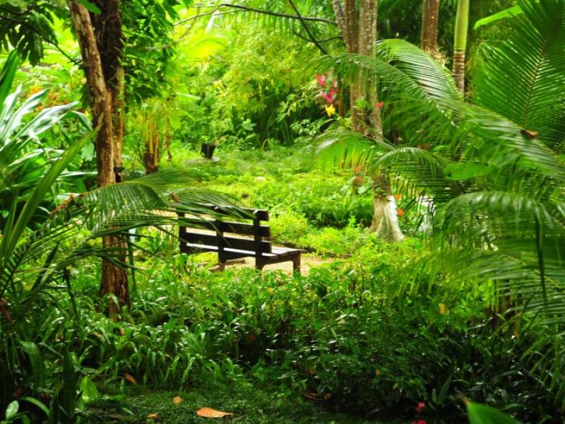 Oracabessa Estate , Oracabessa 