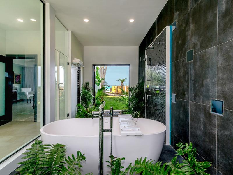 Malatai , Mammee Bay , Ocho Rios 