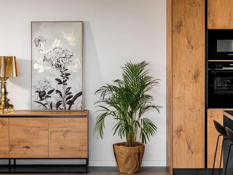 Villa Maderga , Dalmatian Hinterland 