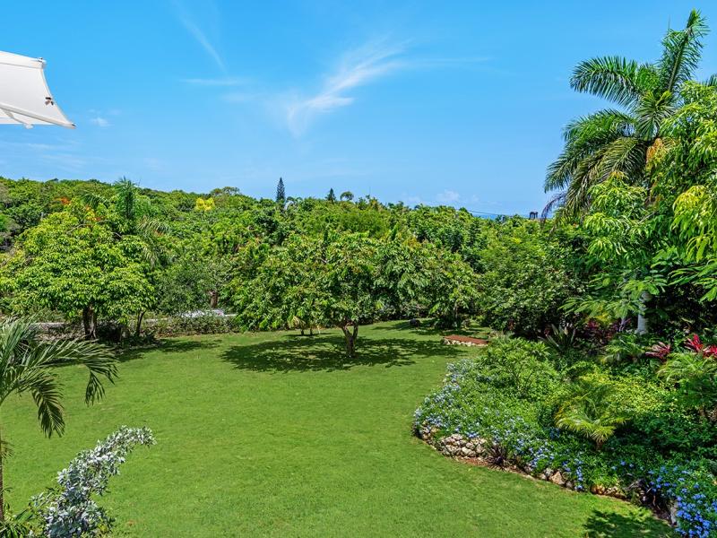 Abacus Villa , Montego Bay 