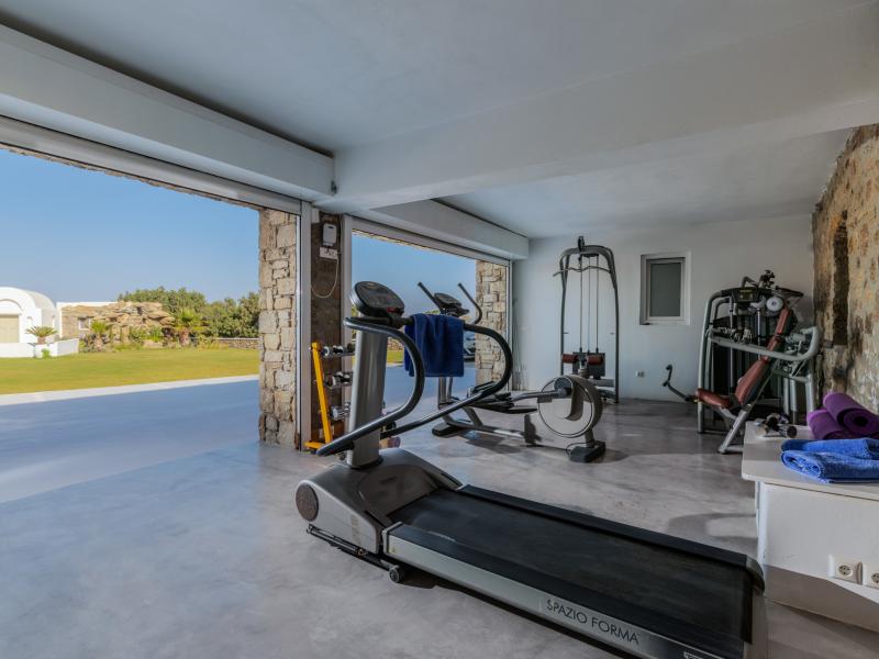 Aegean Dream , Mykonos 