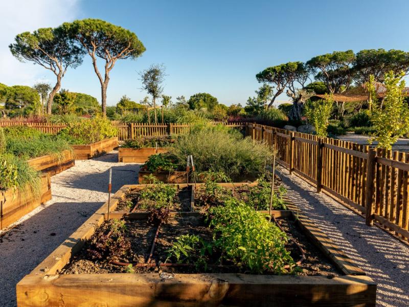 Villa Segurelha , Algarve , Vale do Garrao 