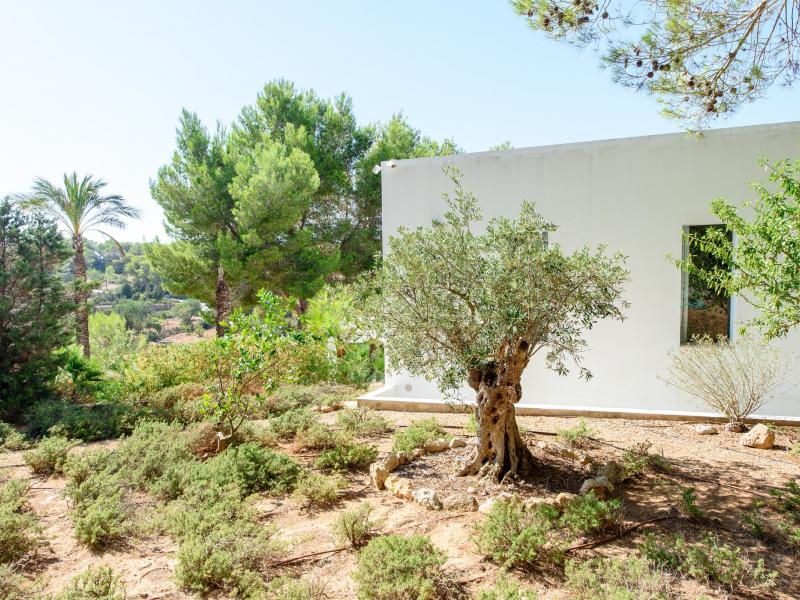 Villa Eliana , Ibiza 