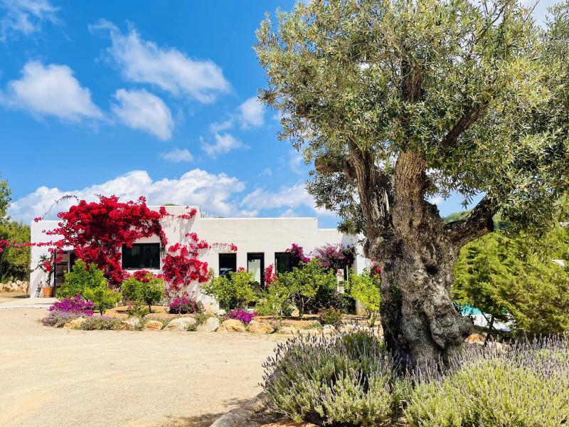 Villa Haisley , Ibiza 