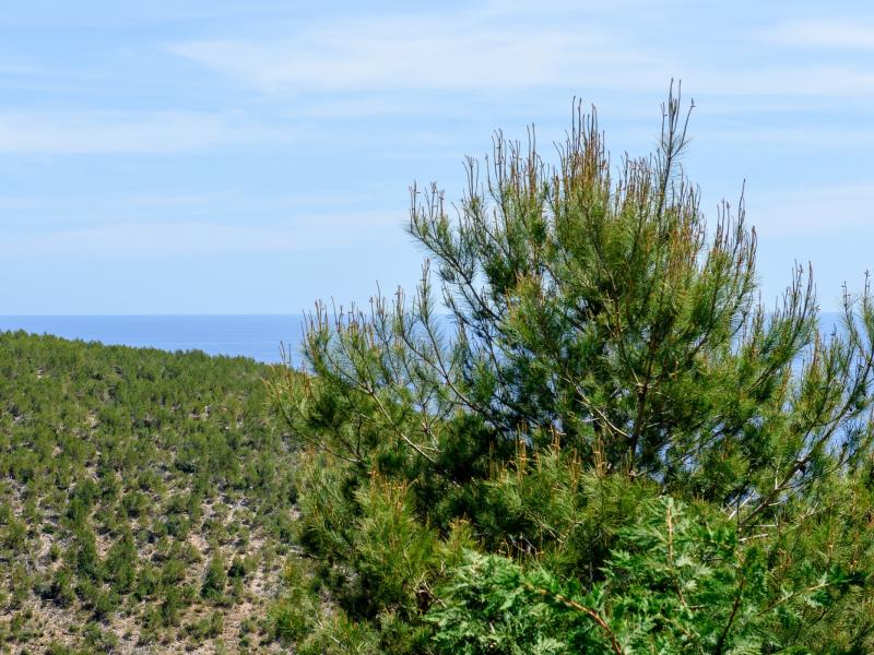 Villa Infinite , Ibiza 