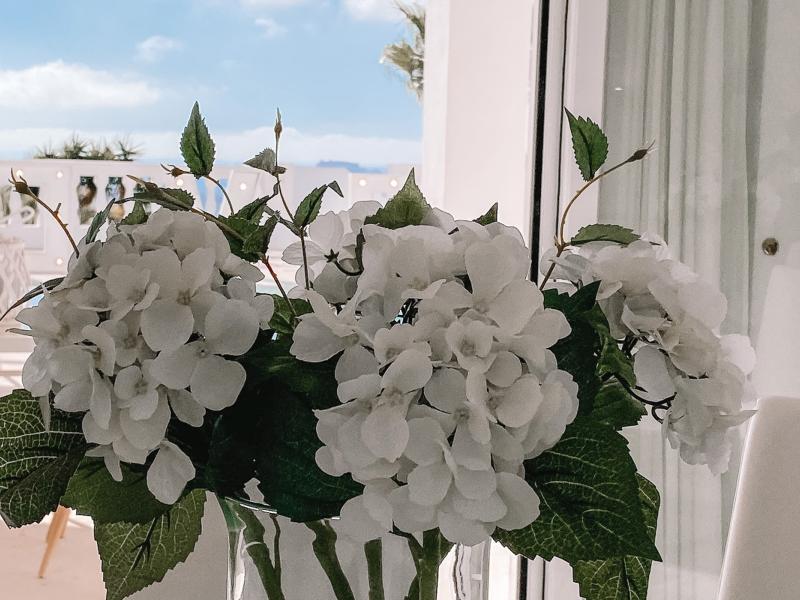 Villa Perla Blanca , Can Furnet , Jesus 