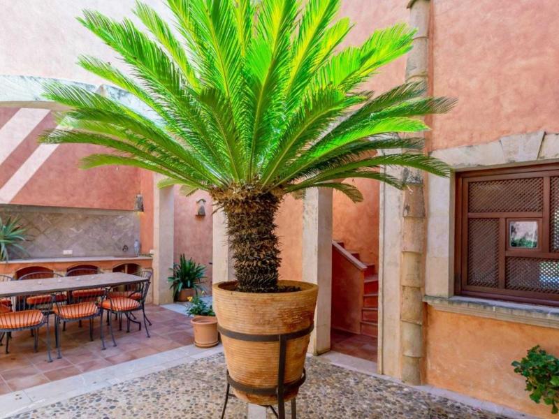 Villa Piedra de Clave , Andratx 