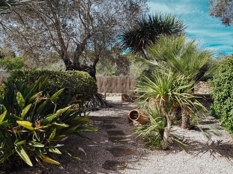 Villa Trevi , Ibiza , San Carlos 