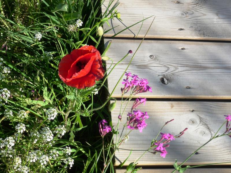 Beach Villa Comporta , Lisbon and coast 