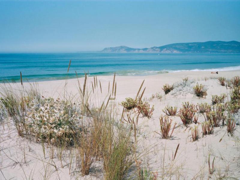 Beach Villa Comporta , Lisbon and coast 