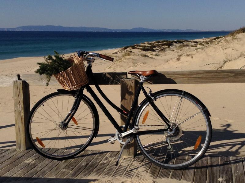 Beach Villa Comporta , Lisbon and coast 