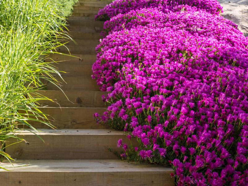 Beach Villa Comporta , Lisbon and coast 