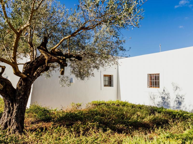 Villa Para , Ibiza 