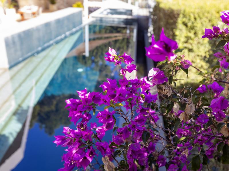 Villa Estelle , Ibiza 