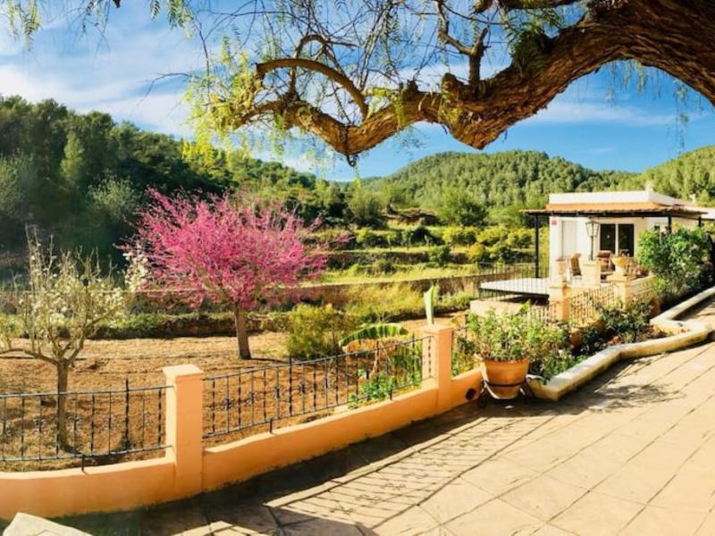 Finca Serena , San Antonio 