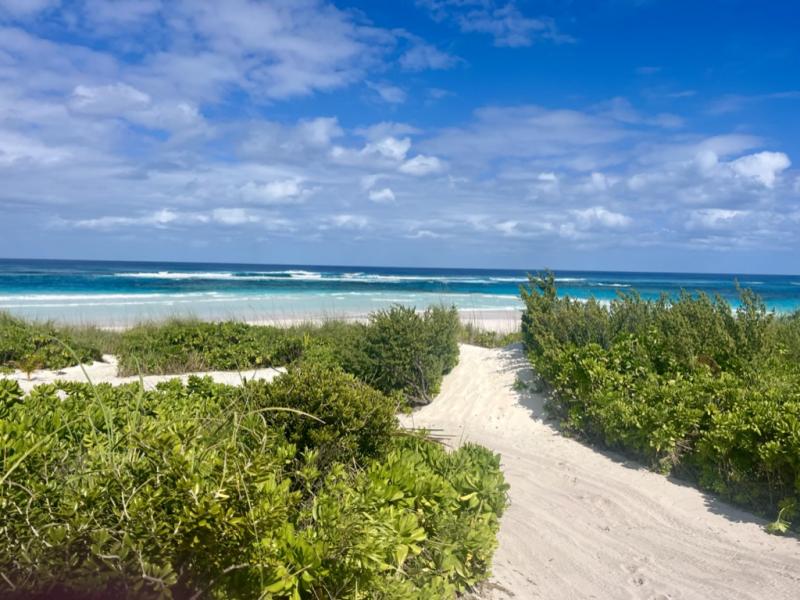 Bohemia-Eleuthera , Eleuthera 