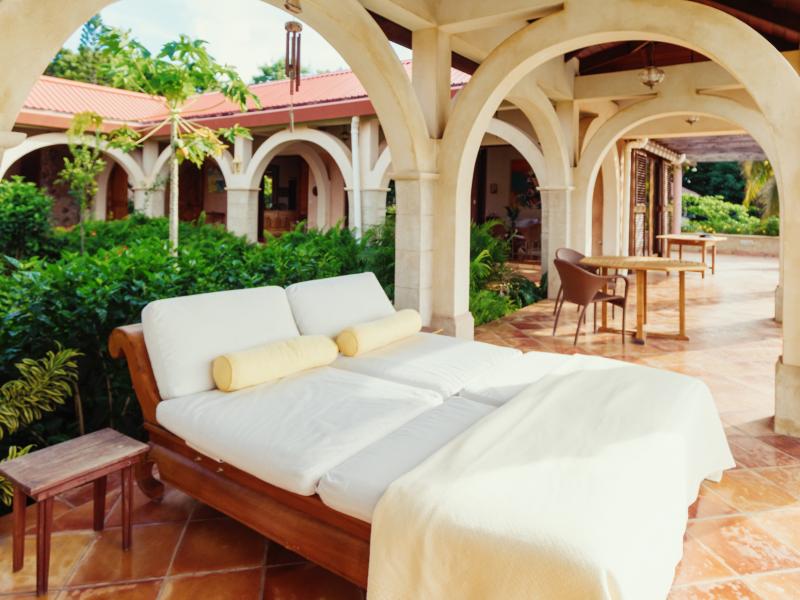 Helianthus , Mount Pleasant 