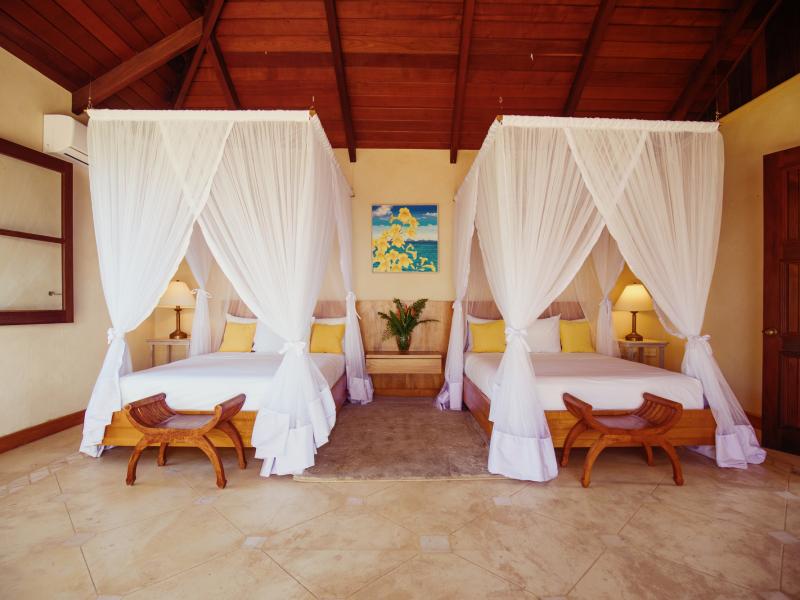 Helianthus , Mount Pleasant 