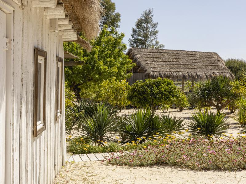 Comporta Retreat , 