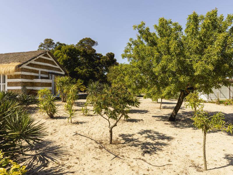 Comporta Retreat , 