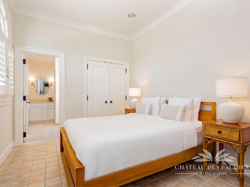 Le Chateau des Palmiers , Terres Basses 