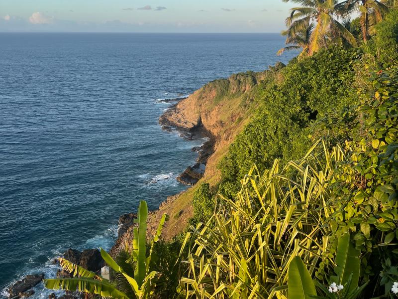 Saline Reef , Cap Estate 