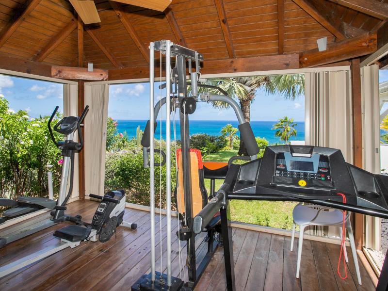 Dream in Blue , Happy Bay 